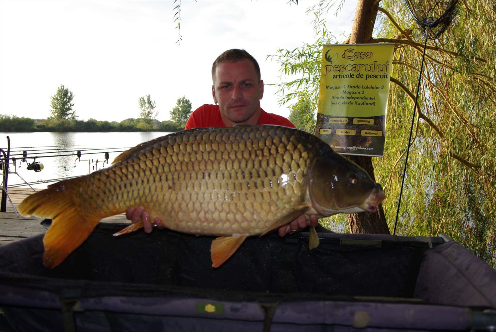 Mika alas,,,,Serbia 1 - 4 octombrie 2015 - received765345690244200.jpeg